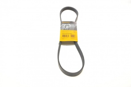 Ремінь генератора поліклиновий CONTINENTAL CONTITECH 6PK1019 ELAST