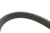 Ремінь генератора поліклиновий CONTINENTAL CONTITECH 6PK1020 EXTRA (фото 4)