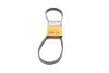 Ремінь генератора поліклиновий CONTINENTAL CONTITECH 6PK1029 ELAST (фото 1)