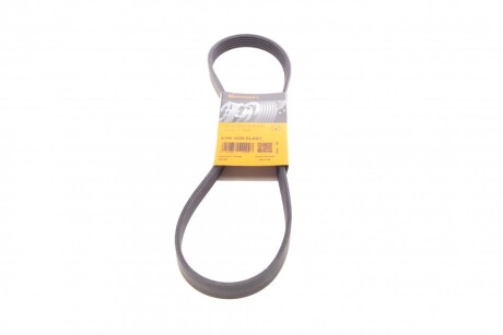 Ремінь генератора поліклиновий CONTINENTAL CONTITECH 6PK1029 ELAST