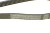 Ремінь генератора поліклиновий CONTINENTAL CONTITECH 6PK1033 (фото 4)