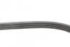 Ремінь генератора поліклиновий CONTINENTAL CONTITECH 6PK1033 ELAST (фото 2)