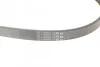 Ремінь генератора поліклиновий CONTINENTAL CONTITECH 6PK1033 ELAST (фото 3)