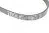 Ремінь генератора поліклиновий CONTINENTAL CONTITECH 6PK1033 ELAST (фото 4)