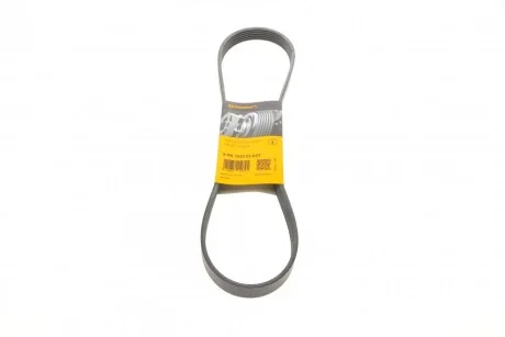 Ремінь генератора поліклиновий CONTINENTAL CONTITECH 6PK1033 ELAST