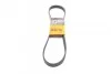 Ремінь генератора поліклиновий CONTINENTAL 6PK1059 ELAST 6PK1059 ELAST