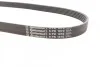 Ремінь генератора поліклиновий CONTINENTAL CONTITECH 6PK1070 (фото 3)