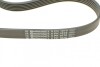 Натяг паса (комплект) CONTITECH 6PK1070K1 (фото 3)