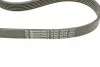 Комплект ременя генератора CONTINENTAL CONTITECH 6PK1070K1 (фото 3)