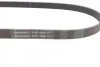 Ремінь генератора поліклиновий CONTINENTAL CONTITECH 6PK1080 (фото 2)