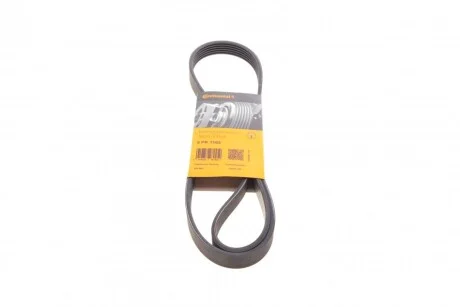 Ремінь генератора поліклиновий CONTINENTAL CONTITECH 6PK1165