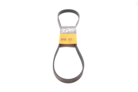Ремінь генератора поліклиновий CONTINENTAL CONTITECH 6PK1173