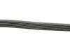 Ремінь генератора поліклиновий CONTINENTAL CONTITECH 6PK1205 (фото 2)