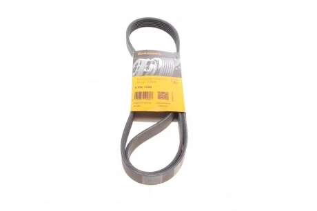 Ремінь генератора поліклиновий CONTINENTAL CONTITECH 6PK1244