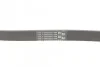 Ремінь генератора поліклиновий CONTINENTAL CONTITECH 6PK1256 (фото 3)