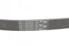 Ремінь генератора поліклиновий CONTINENTAL CONTITECH 6PK1264 (фото 3)