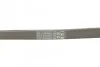 Ремінь генератора поліклиновий CONTINENTAL CONTITECH 6PK1310 (фото 3)