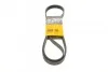 Ремінь генератора поліклиновий CONTINENTAL CONTITECH 6PK1345