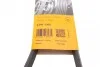 Ремінь генератора поліклиновий CONTINENTAL CONTITECH 6PK1360 (фото 5)
