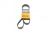 Ремінь генератора поліклиновий CONTINENTAL CONTITECH 6PK1370