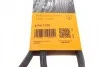 Ремінь генератора поліклиновий CONTINENTAL CONTITECH 6PK1370 (фото 6)