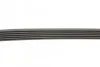 Ремінь генератора поліклиновий CONTINENTAL CONTITECH 6PK1390 (фото 2)