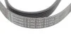 Ремінь генератора поліклиновий CONTINENTAL CONTITECH 6PK1401 EXTRA (фото 3)