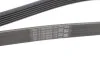 Ремінь генератора поліклиновий CONTINENTAL CONTITECH 6PK1401 EXTRA (фото 4)