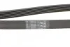 Ремінь генератора поліклиновий CONTINENTAL CONTITECH 6PK1440 (фото 3)