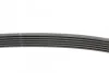 Ремінь генератора поліклиновий CONTINENTAL CONTITECH 6PK1502 EXTRA (фото 2)