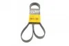 Ремінь генератора поліклиновий CONTINENTAL CONTITECH 6PK1548 (фото 1)