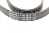 Ремінь генератора поліклиновий CONTINENTAL CONTITECH 6PK1555 (фото 4)