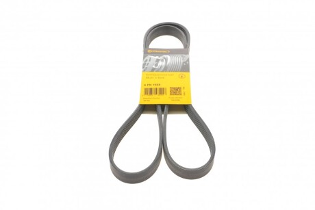 Ремінь генератора поліклиновий CONTINENTAL CONTITECH 6PK1555