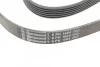 Ремінь генератора поліклиновий CONTINENTAL CONTITECH 6PK1564 (фото 3)
