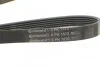 Ремінь генератора поліклиновий CONTINENTAL CONTITECH 6PK1570 (фото 4)