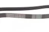 Ремінь генератора поліклиновий CONTINENTAL CONTITECH 6PK1605 (фото 2)