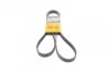 Ремінь генератора поліклиновий CONTINENTAL 6PK1613 6PK1613