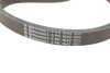 Комплект ременя генератора CONTINENTAL CONTITECH 6PK1642K3 (фото 4)