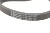 Натяг паса (комплект) CONTITECH 6PK1642K3 (фото 4)