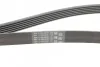 Ремінь генератора поліклиновий CONTINENTAL CONTITECH 6PK1660 (фото 3)