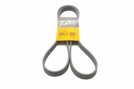 Ремінь генератора поліклиновий CONTINENTAL CONTITECH 6PK1660