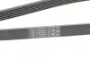 Ремінь генератора поліклиновий CONTINENTAL CONTITECH 6PK1680 (фото 4)