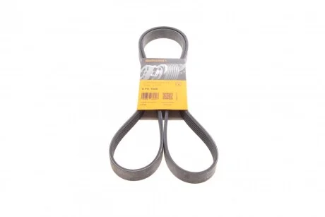 Ремінь генератора поліклиновий CONTINENTAL CONTITECH 6PK1685