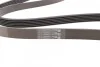 Ремінь генератора поліклиновий CONTINENTAL CONTITECH 6PK1693 (фото 3)