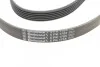 Ремінь генератора поліклиновий CONTINENTAL CONTITECH 6PK1705 (фото 3)