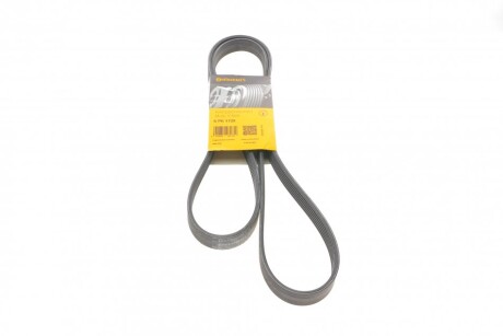 Ремінь генератора поліклиновий CONTINENTAL CONTITECH 6PK1725