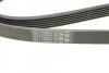 Ремінь генератора поліклиновий CONTINENTAL CONTITECH 6PK1740 (фото 4)