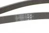 Ремінь генератора поліклиновий CONTINENTAL CONTITECH 6PK1743 (фото 3)