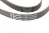 Ремінь генератора поліклиновий CONTINENTAL CONTITECH 6PK1743 (фото 4)