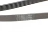 Ремінь генератора поліклиновий CONTINENTAL CONTITECH 6PK1800 (фото 3)